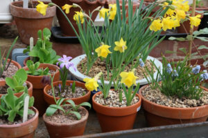 Table top bulb display
