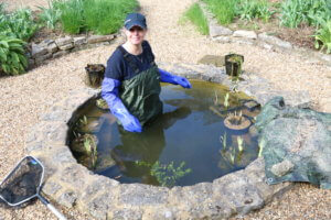 Cleaning a pond Cleaning a pond