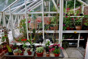 Greenhouse displays