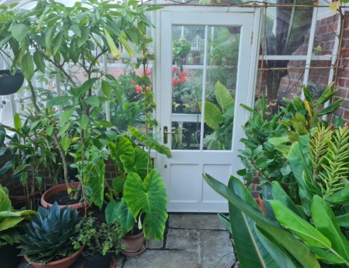 The Prodigal Gardener
