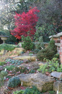 Rockery