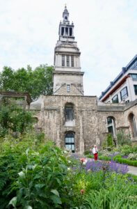 Garden talk about bomb site gardens