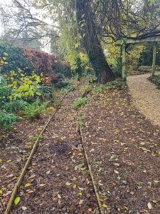 Woodland walk