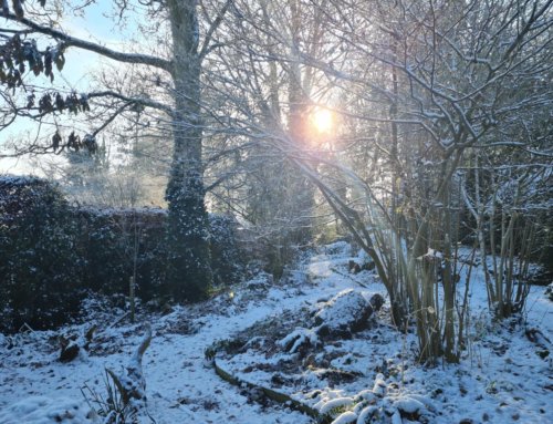 The Cold Comes Calling
